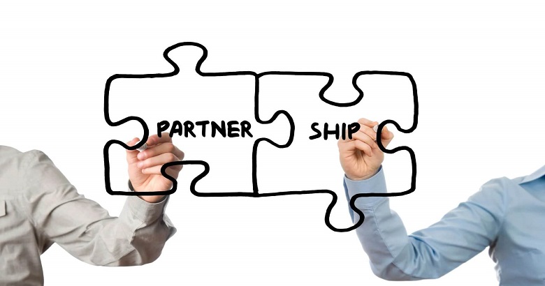 Hybrid or Partnership Publishing